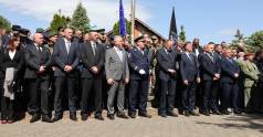 Borovo Selo31